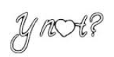 Y Not