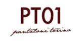 PT01