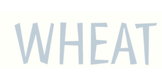 Wheat