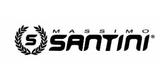 Massimo Santini
